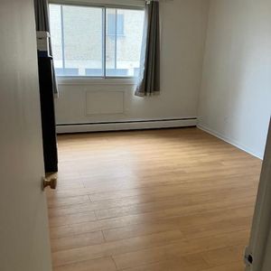 Alouer 3 1/2 Anjou - Photo 2