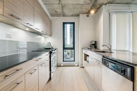 Appartement à louer - Montréal (Ville-Marie) (Centre Ouest) - Photo 4