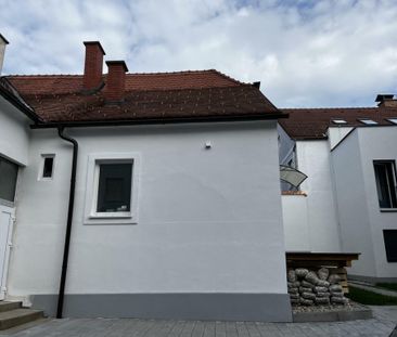 Erstbezug nach Generalsanierung: 2 Raum Wohnung im EG mit Terrasse, - Photo 3