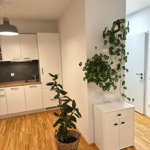 Ab 1. Dezember Helle 2-Zimmer-Wohnung mit großer Innenhof-Terrasse, an U2 - Foto 1