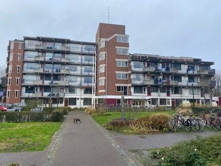 Te huur: Appartement Trosdravik in Leeuwarden - Photo 2