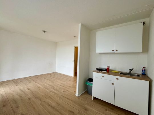 Mainz-Gonsenheim, frisch renoviertes Appartement mit herrlicher Aussicht! - Photo 1