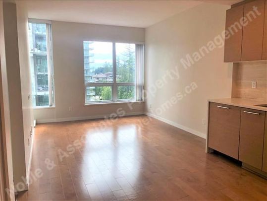 5XXXX Berton Avenue Unit 906 Vancouver_UBC - Photo 1