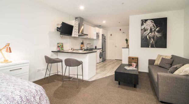 Modern Studio Apartment for Rent in Gulf Harbour - Photo 1