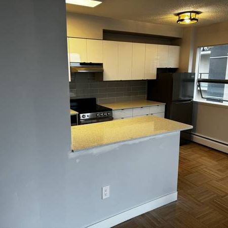 Newly Renovated 6th floor 1 Bedroom in the West End - Photo 3