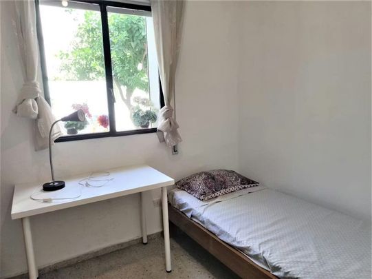 Calle Pelay Correa, Sevilla, Andalusia 41010 - Foto 1