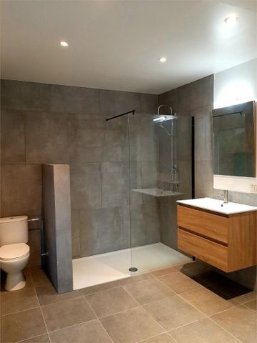 Alleenstaande woning met een zonnige tuin - Foto 4