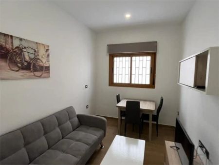 Piso de alquiler en Avenida Cándido Lobera, 23, Centro - Photo 4