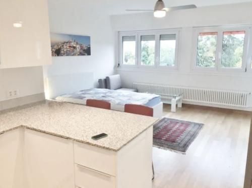 Appartement de 2 Pièces | Cœur de Genève - Photo 1