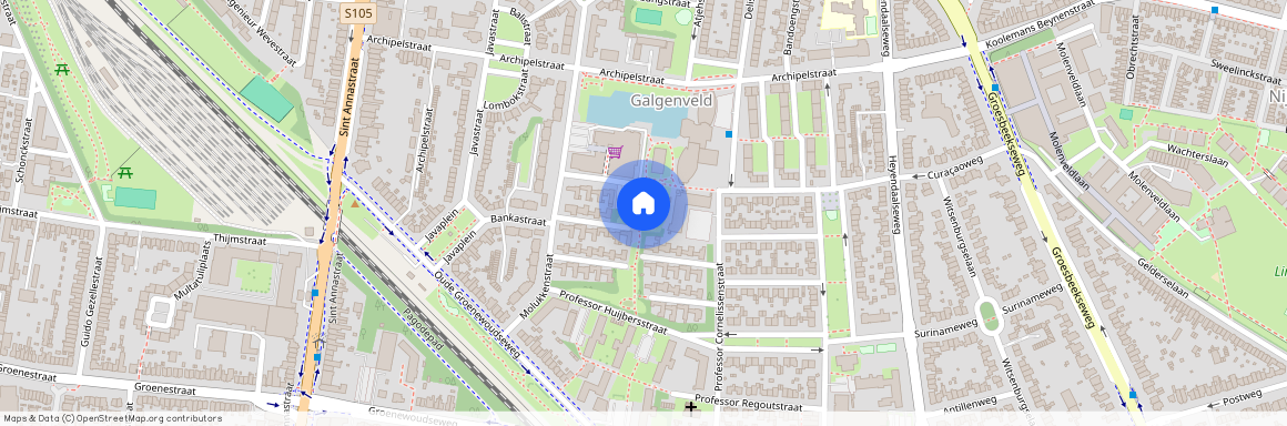 Professor van Weliestraat 9-A, Nijmegen