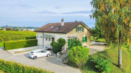 Charming in the heart of the Aubonne vineyards - Foto 4