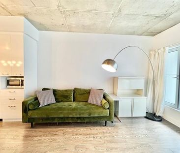 1150 Rue St Denis - Photo 2