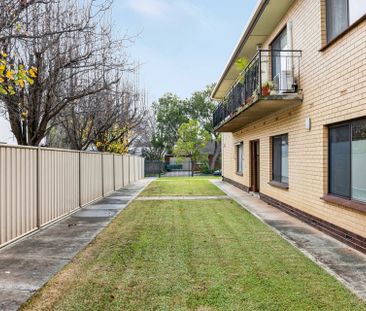 Gorgeous, Ex-Large and Renovated. More like a Little House Than a U... - Photo 2