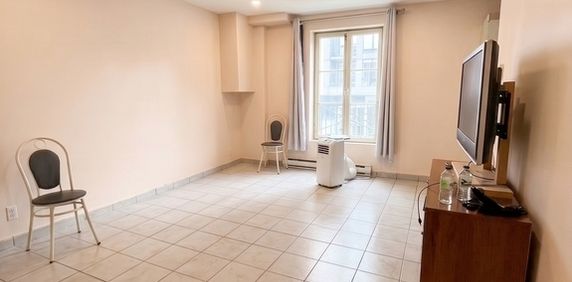 Beau Studio Metro Papineau - Photo 2
