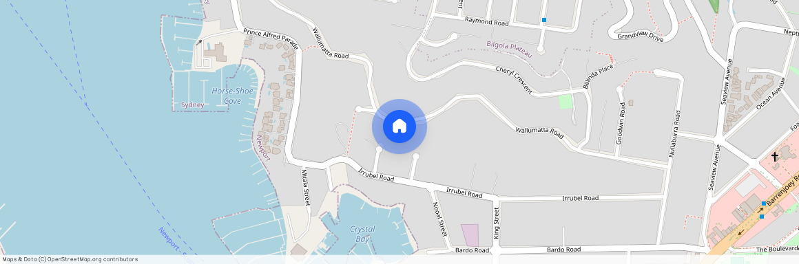 113 Walumatta Rd, NSW 2106, Newport