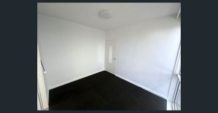 LIGHT FILLED APARTMENT!! - Photo 3