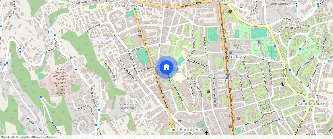 Nice Saint Sylvestre