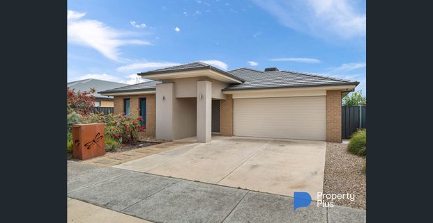 "Family Oasis" - Photo 1