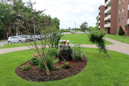 The Cedarview Apartments - Photo 5