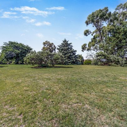 Lovely Ground floor Mawson Unit - Photo 1