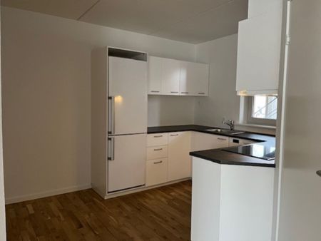 Stue lejlighed med god syd/vestvendt terrasse - Photo 5