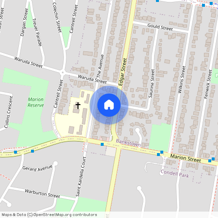 112 Edgar Street, NSW 2200, Bankstown