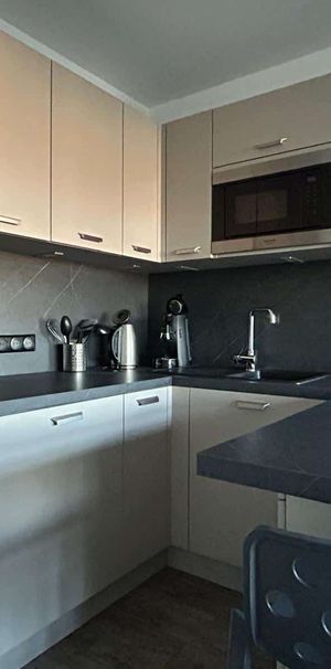 NANCY PROCHE SCIENCE PO BEL F1 BIS MEUBLE DE 36 M2 AVEC BOX FERME - Photo 1