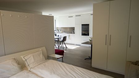 Modernes Studioapartment an exklusiver Lage in Zug - Photo 5