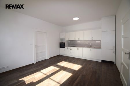 Pronájem bytu 1+1 v osobním vlastnictví 64 m², Písek - Photo 4