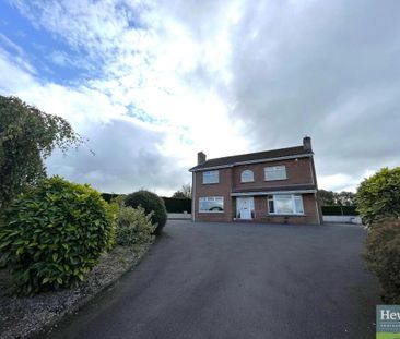 31 Corcullentragh Road, Portadown, BT62 4JB - Photo 5