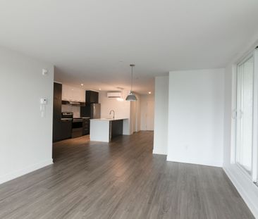 9675 Av. Papineau - Photo 3