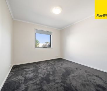 MODERN BRUCE LIVING! - Photo 2