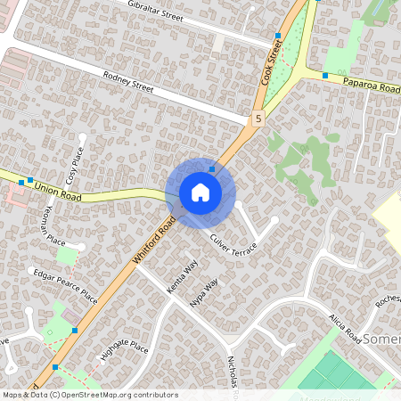 206 Cook Street, Manukau