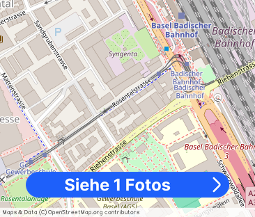 Luminous 3-room apartment in a central location in Basel - Foto 1