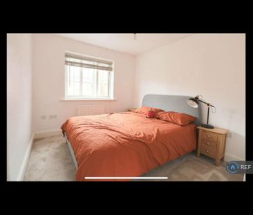 3 bedroom terraced house to rent - Photo 5