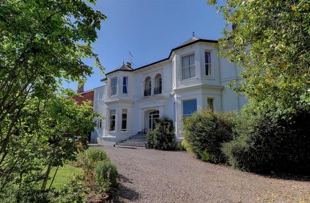 3 bedroom apartment to rent - Photo 5