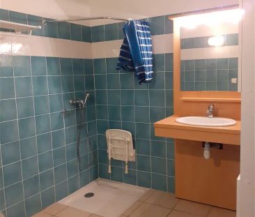 Location appartement 1 pièce - 27m² à Saint-jean (31240) - Photo 5