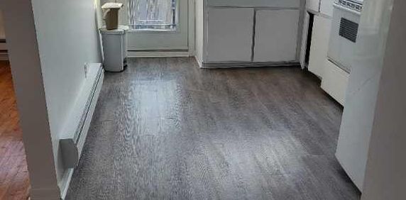 3 1/2 APPARTEMENT A LOUER DANS VILLERAY - Photo 2