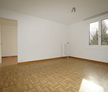 2 Zimmer, 32 m², 1. Stock - Photo 5
