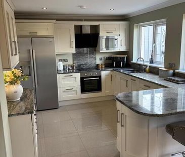 15 Ardfern Close, Downpatrick, BT30 6TY - Photo 4