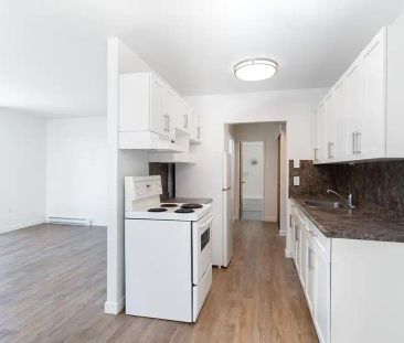 River Gardens — 1 Bedroom 1 Bath Reno (1Bed1BathR-A1) - Photo 3