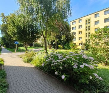 2-pokojowe mieszkanie na wynajem, Pomorzany. - Фото 6