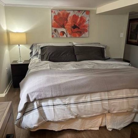 FURNISHED - 1br/1bth in Cook St Village - Photo 3