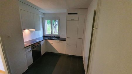 2 Zimmer, 49 m², EG - Photo 5