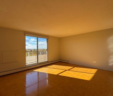 For Lease - 64 Windward Street Unit# 802, St. Catharines, Ontario - Photo 3