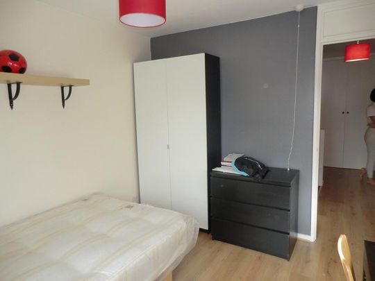 3 bedroom flat share to rent - Photo 1