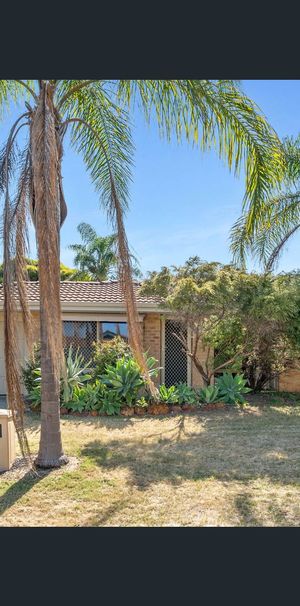 15 Leghorn Road, Orelia, WA 6167 - Photo 1