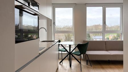 Studio to rent - Photo 5