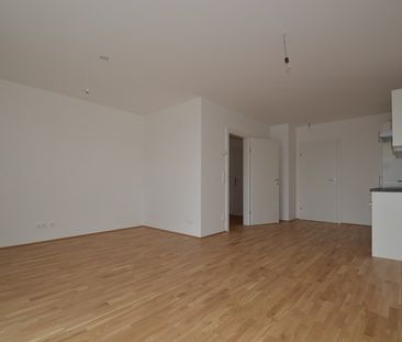 Annenviertel / Zentrum – 55 m² – großer Südbalkon – 2 Zimmer – Schl... - Photo 2