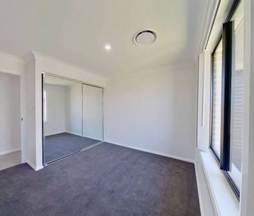 Dreaming of Champagne Drive - Photo 4